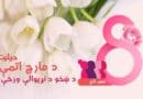 د ښځو د نړیوالې ورځې « د مارچ اتمې» حیثیت